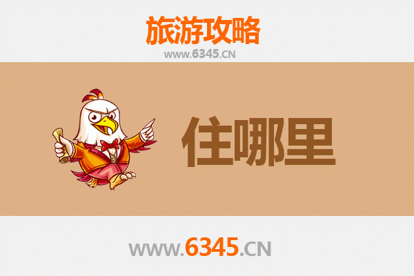 温州平阳旅游住宿全攻略：舒适与经济并存的理想选择